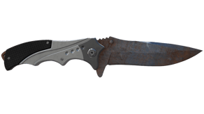 Rust Coat image