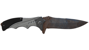 Rust Coat image