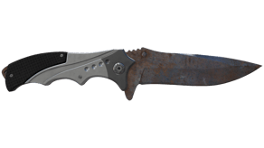 Rust Coat image