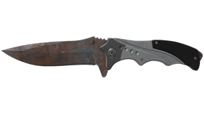 Rust Coat image