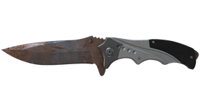 Rust Coat image