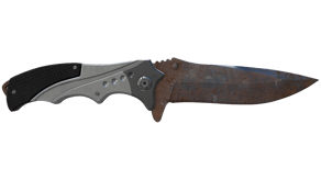 Rust Coat image