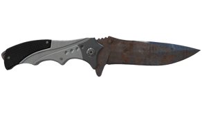 Rust Coat image