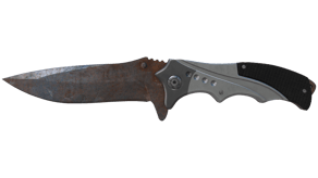 Rust Coat image