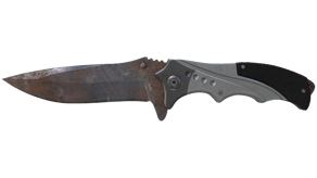 Rust Coat image