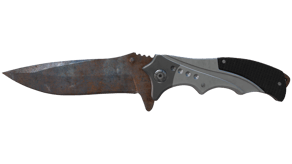 Rust Coat image