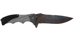 Rust Coat image