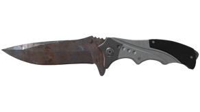 Rust Coat image