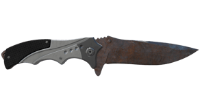Rust Coat image