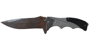 Rust Coat image