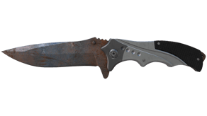 Rust Coat image