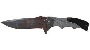 Rust Coat image