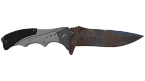 Rust Coat image