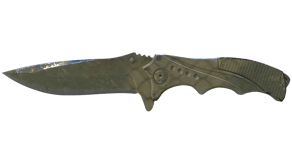 Safari Mesh image