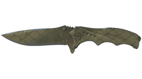 Safari Mesh image
