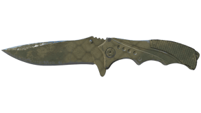 Safari Mesh image