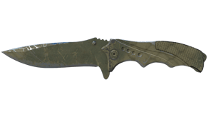 Safari Mesh image