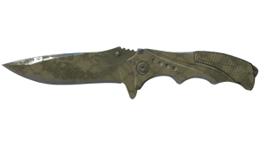 Safari Mesh image