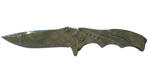 Safari Mesh image