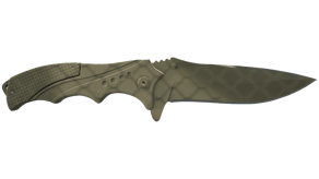 Safari Mesh image