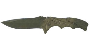 Safari Mesh image