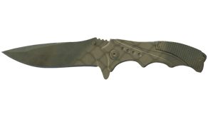 Safari Mesh image