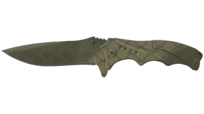 Safari Mesh image