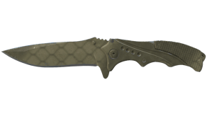 Safari Mesh image