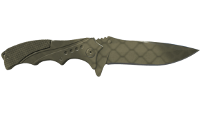 Safari Mesh image