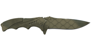 Safari Mesh image