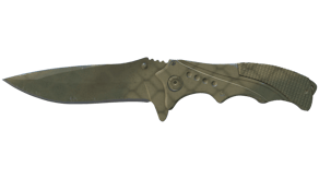 Safari Mesh image