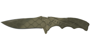 Safari Mesh image
