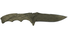 Safari Mesh image