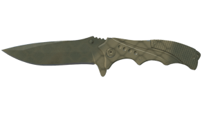 Safari Mesh image