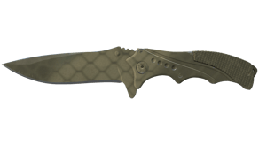 Safari Mesh image