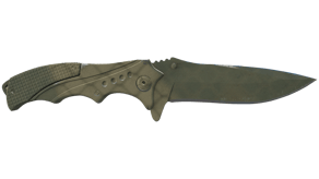 Safari Mesh image