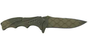 Safari Mesh image