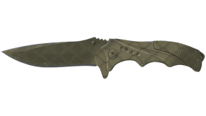 Safari Mesh image