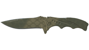 Safari Mesh image