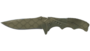 Safari Mesh image