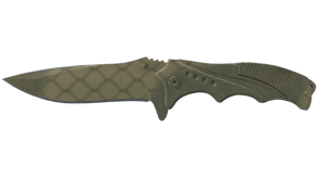 Safari Mesh image