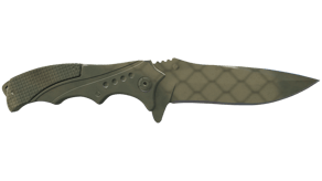 Safari Mesh image