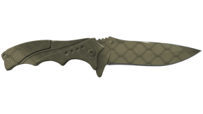 Safari Mesh image