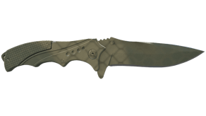 Safari Mesh image