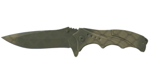 Safari Mesh image