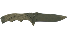 Safari Mesh image