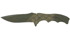 Safari Mesh image