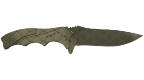 Safari Mesh image