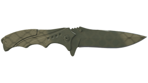 Safari Mesh image