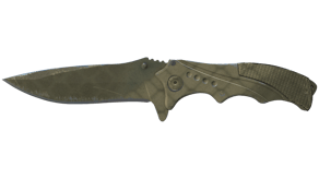Safari Mesh image